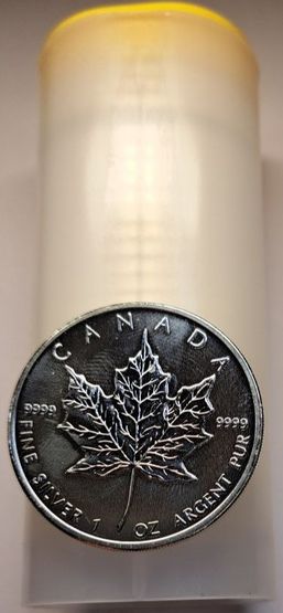 Originaltube Silber Maple Leaf (25 Stück)