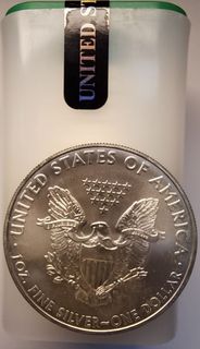 Originaltube Silber American Eagle (20 Stück)